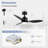 Kyptin 42" 3-blade Downrod Mount Ceiling Fan with LED Lights and Remote Control-382792569-382792570