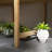 Padmore Wood Planter Box
