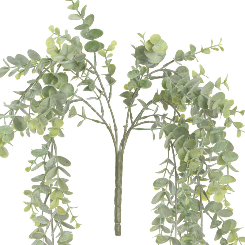 Mini buisson d'eucalyptus vert 32 po
