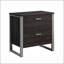 Classeur latéral contemporain à 2 tiroirs avec design élégant et rangement spacieux pour les espaces de bureau organisés