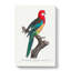 A Eastern Rosella Parrot by F. Levaillant - Wrapped Canvas-55368161
