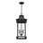 Horwitz 3-Light Outdoor Hanging Lantern