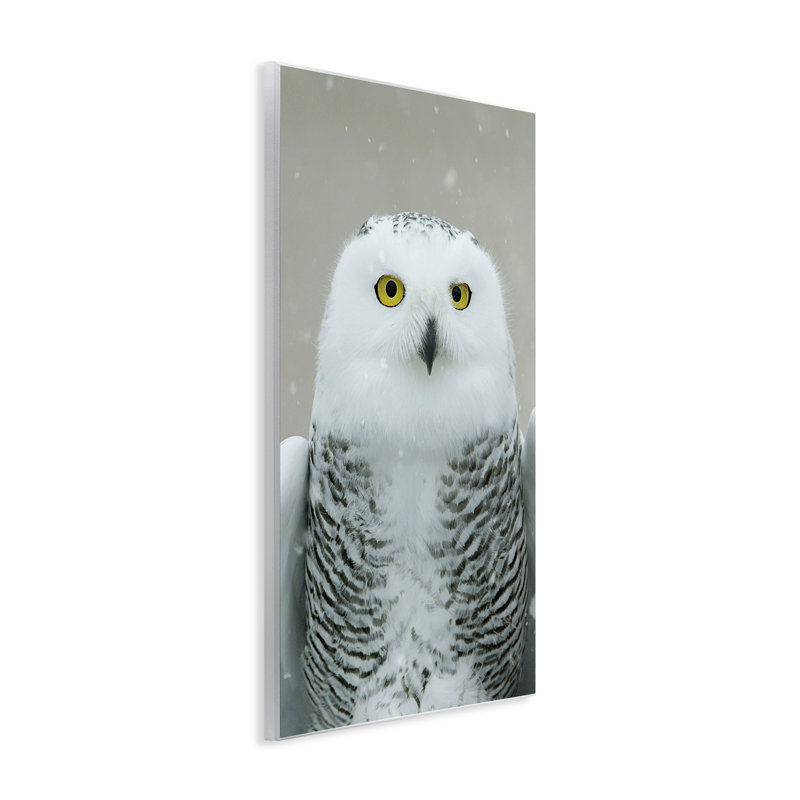 «Snowy Owl» par Carrie Ann Grippo-Pike, H 15 po x l 10 po