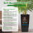 22-Inch High Flower Pot With Automatic Watering System