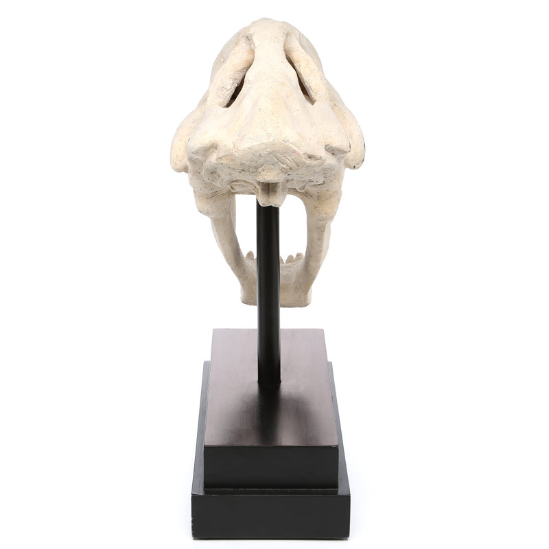 Saber-Toothed Tiger Skull Artifact Figurine