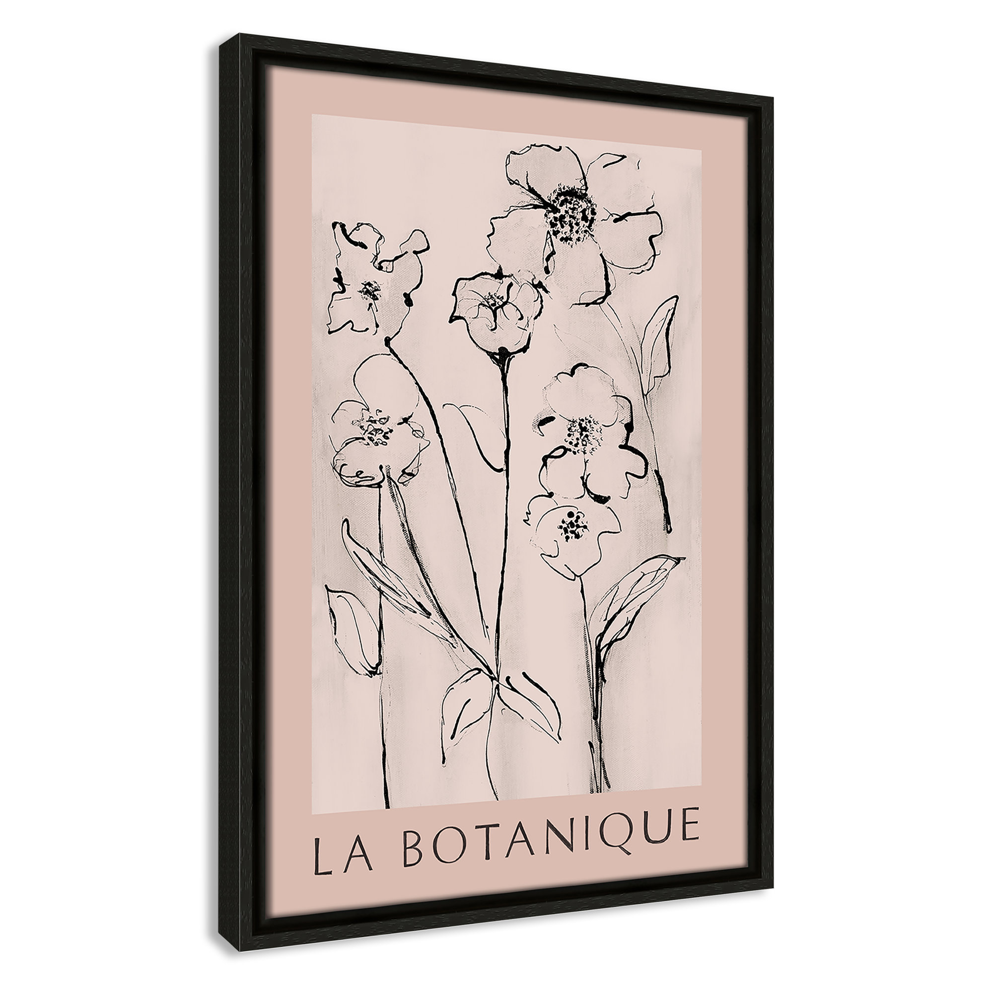 Botanical Poster Collection " La Botanique " by Susan Jill, Espresso Floater Frame, No, 19.5" H x 13.5" W x 2" D