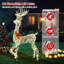 Christmas Decorative Accent