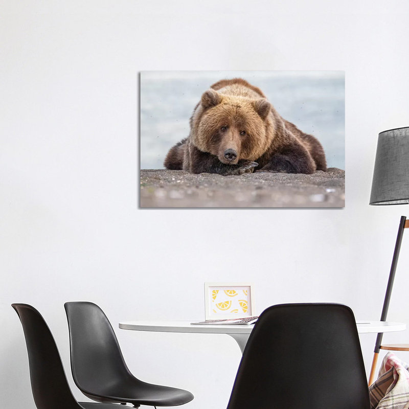 Grizzly Bear Look by Eric Fisher - Wrapped Canvas Painting, 101.6 cm H x 66.04 cm W x 1.91 cm D