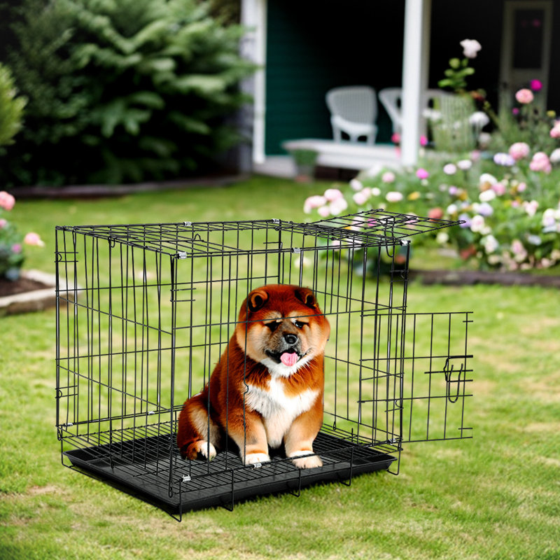 Warsaw Plastic Tray Iron Pet Cage with 2 Doors, Small (43cm H x 50cm W x 35cm D)