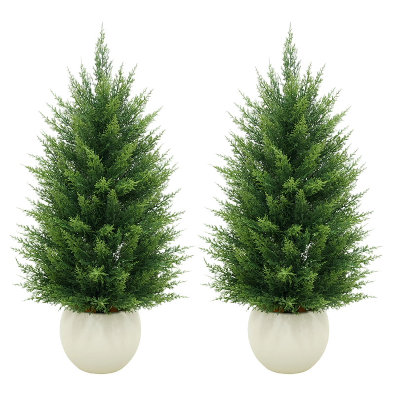 Plant, 91.4cm H x 25.5cm W x 96.5cm D