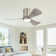 Apolino 42'' Ceiling Fan with LED Lights