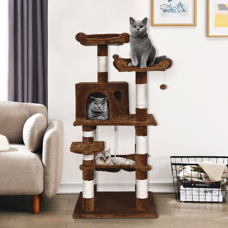 Arbre à chat 55 ", Marron