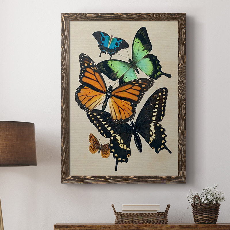 «Ellzey Collage Butterflies I», reproduction d'art sur toile, H 37,5 po x l 27,5 po x P 1 po, Cadre noyer