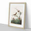 Wrens by John James Audubon - Picture Frame Painting Print-55614441-55614434
