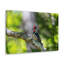 No Frame Print on Canvas-71466636