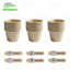 Tasse à portion compostable EcoQualité 2Oz sans couvercle - Condiments et échantillons Soufflé jetable biodégradable à portion unique - Pour les restaurants, la restauration et les mets à emporter (100)