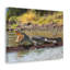 Art mural majestueux alligator-343501092