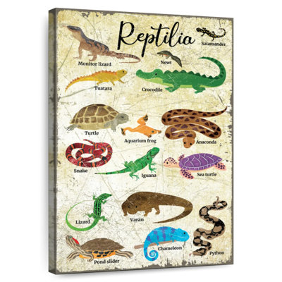 Brampt Reptile Species Chart