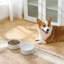 Flower Embossed Pattern Anti-skid Stoneware Dog Bowl-116384228