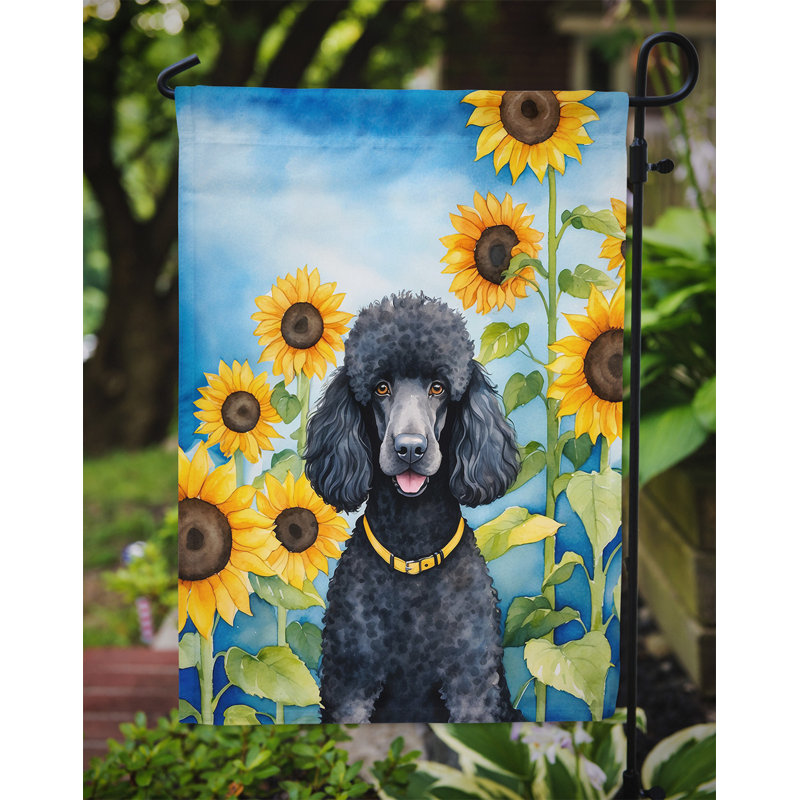 Lévrier irlandais dans le drapeau du jardin de tournesols, Or / caniche noir