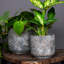 Tivoli Planter Earth H25Cm D26Cm-995800820
