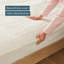 Indulgence Mattress Protector Case Pack-124239183