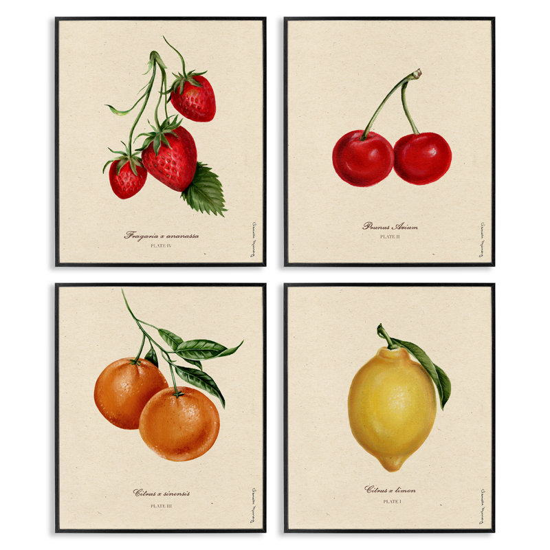 Ensemble de giclées encadrées vintage, 4 pièces, par Danielle Murray, H 20 po x l 16 po, Giclée encadrée noir minuit