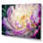 Toile tendue