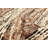 Sienna Brown Rug 5'3" x 7'10"
