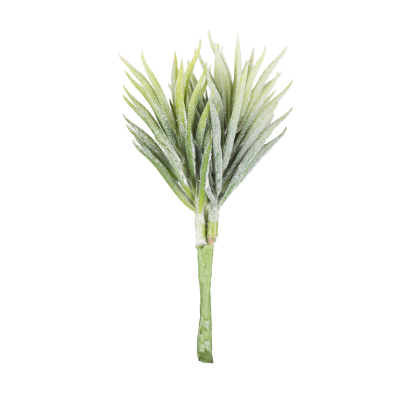 Centre de table succulent
