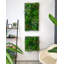 106cm Plant-1867390957