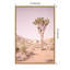 «Joshua Tree III Blush» par Elizabeth Urquhart - reproduction de cadre flottant sur toile-86870179-86870180