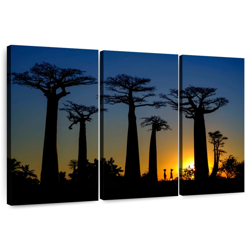 Baobab sombre Harnek, H 24 po x l 38 po