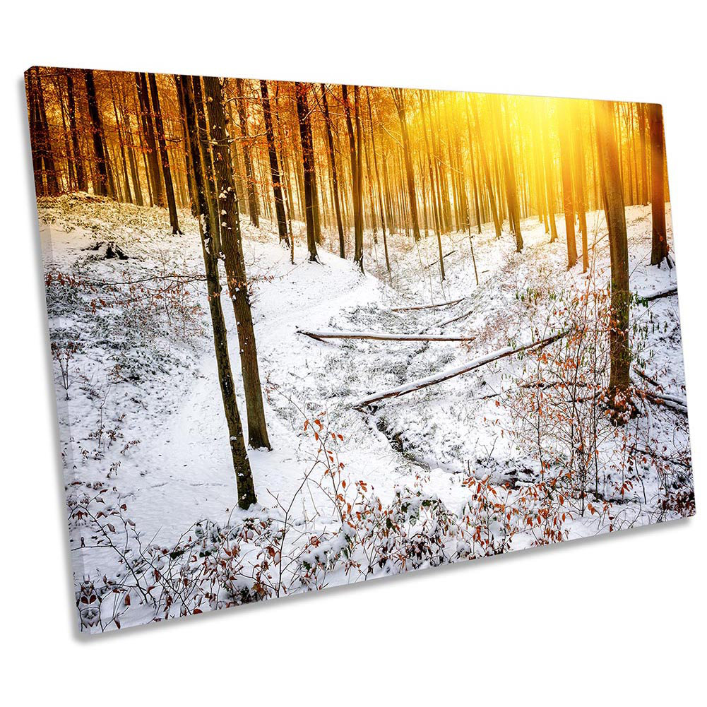 Z0431 Winter Forest Sunset - Wrapped Canvas Print