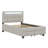 Twin Size Upholstered Platform Bed With LED Frame And 2 Drawers-110439757