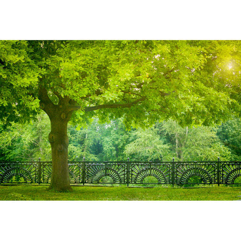 Morning In The Park - Wrapped Canvas Print, 20cm H x 30cm W x 3.8cm D