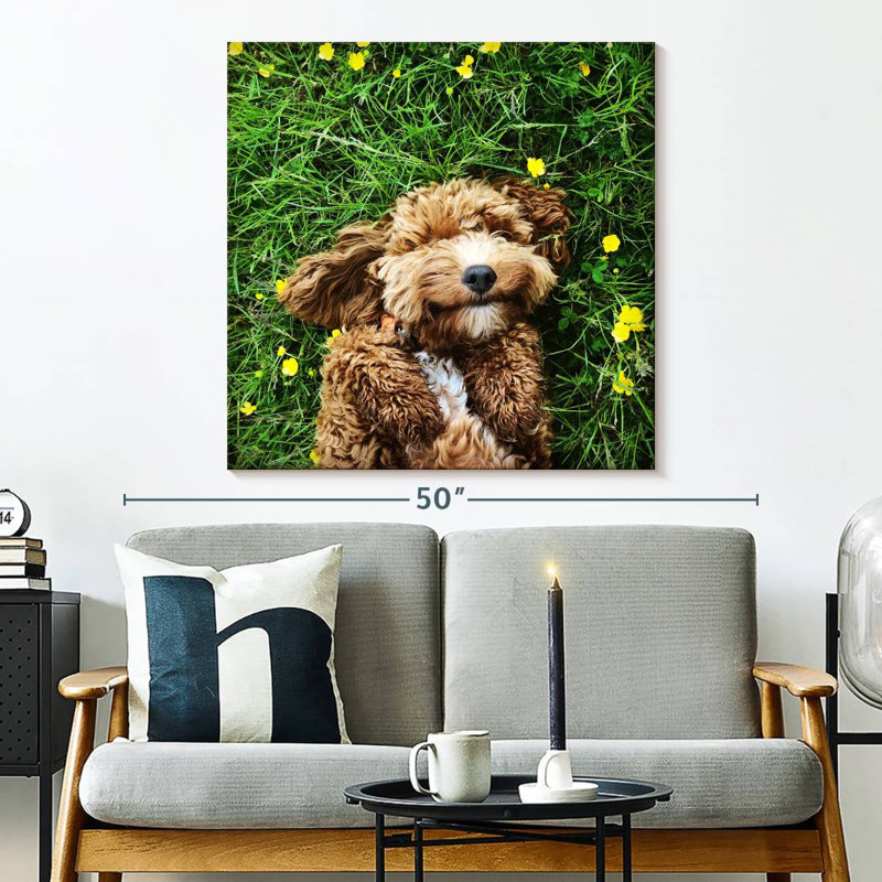 Crowap Happy Cockapoo Dog, H 33 po x l 33 po