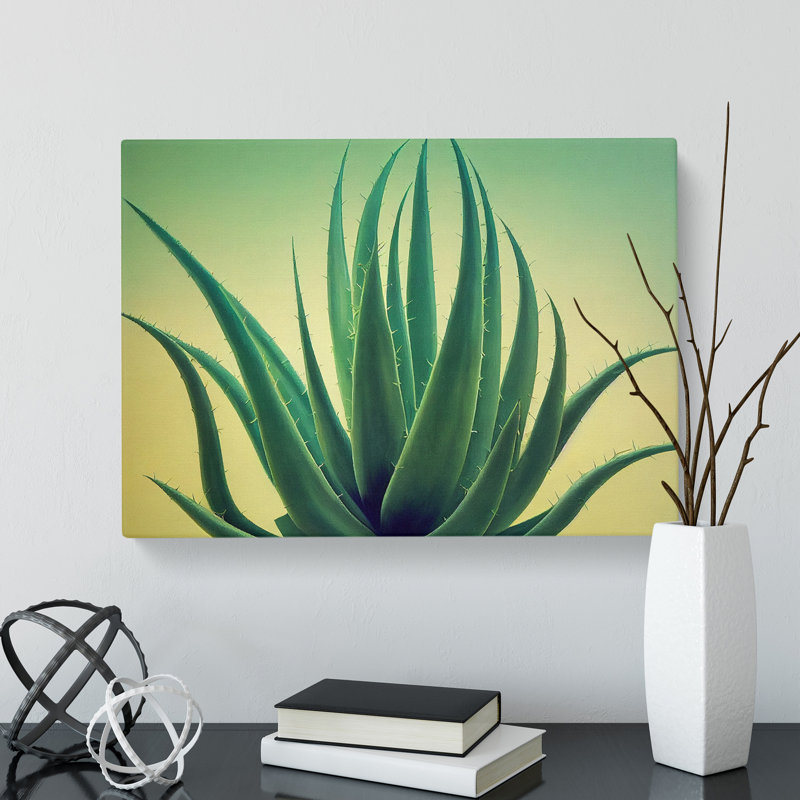 Showstopping Aloe Vera Plant - Wrapped Canvas, 35cm H x 50cm W x 3cm D