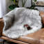 Tapis à poils longs Kellor-1158677819