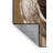 Washable Northern Goshawk Birds Area Rug-1576599196