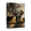 «Elephant Sunset», reproduction sur toile-499663167