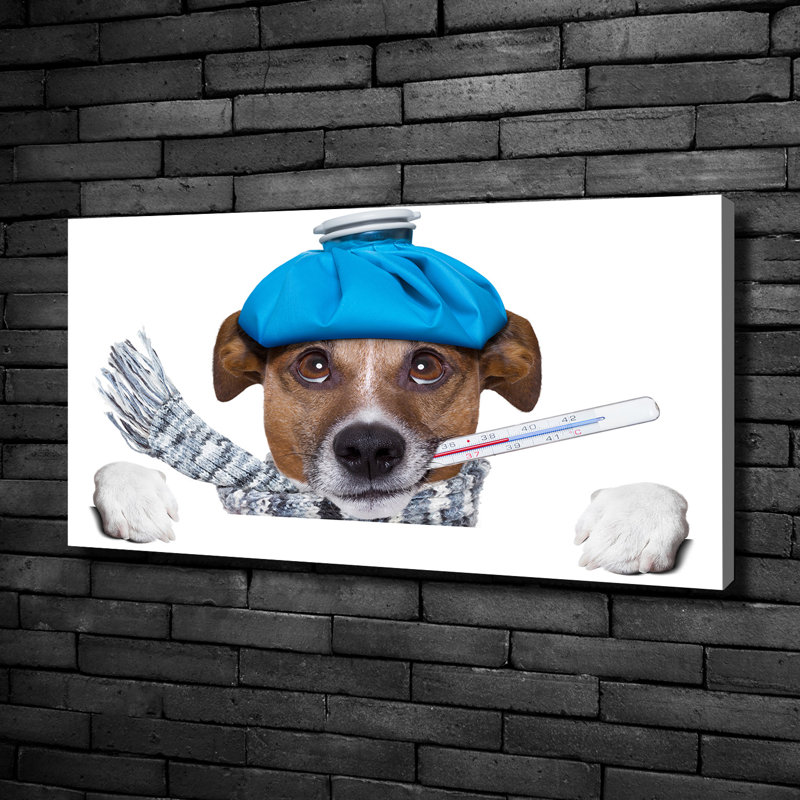 Ill Dog - No Frame Print on Canvas, 50cm H x 100cm W, No Frame