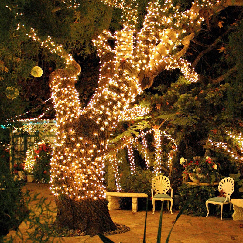 Guirlande lumineuse d'extérieur à énergie solaire 100 ampoules West Brookfield 39,4 ', Réchauffer