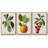 " Garden Gems I " 3 - Pieces-837693336-837693343