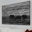Parvez Taj - Wrapped Canvas Print-15986631
