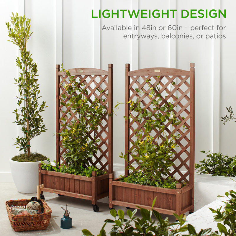 Set of 2 Walnut Fir Wood Planter Box with Trellis