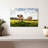 Crowle Sunny Meadow Pigs-111859636