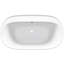 Spectacle 60.19'' L Freestanding Soaking Bathtub