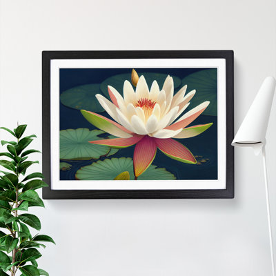 Fantastic Water Lily Flowers - Single Picture Frame Print
