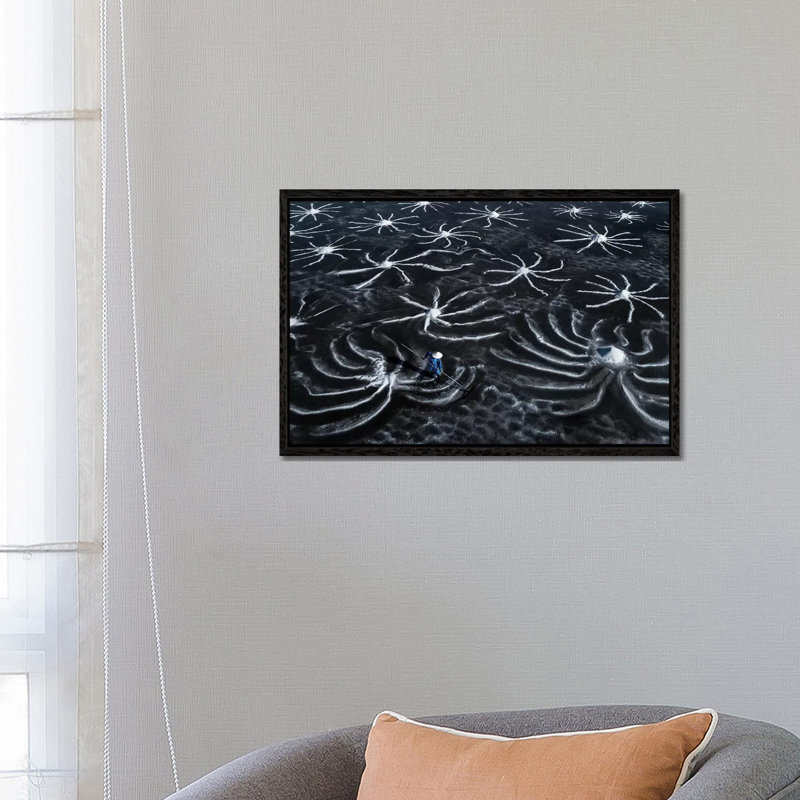 Salt Field by Trung Pham - Gallery-Wrapped Canvas Giclée on Canvas, 66.04 cm H x 45.72 cm W, Black Framed